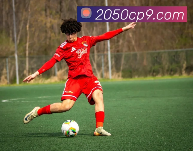 500彩票下载全站App